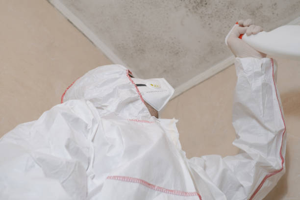 Best Professional Mold Removal  in Chesterland, OH